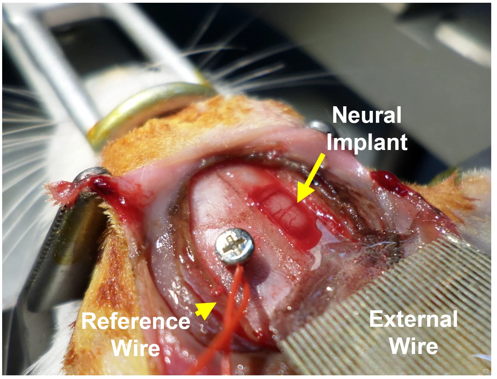 7f31ff1834e3da3f57fa46a83f5aa392_1770260428_1686.png 7f31ff1834e3da3f57fa46a83f5aa392_1770260428_1686.png